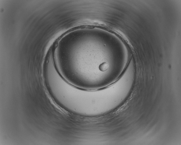 X0000068901128200605081338