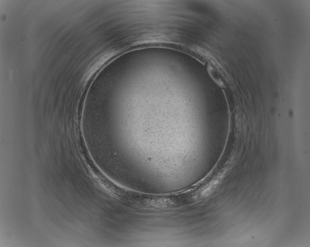 X0000068901129200605081338