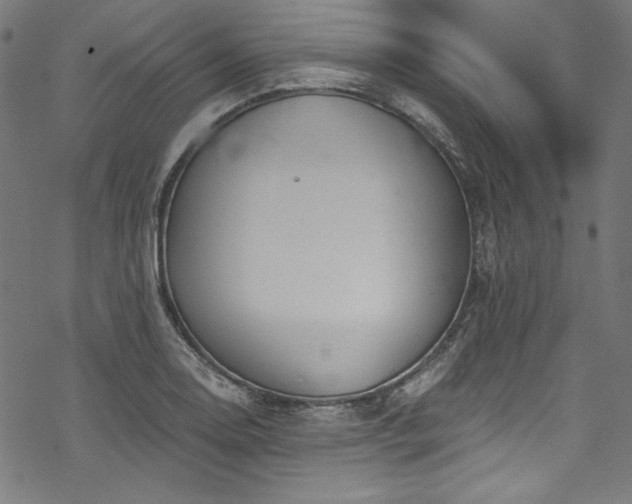 X0000068901130200605081338