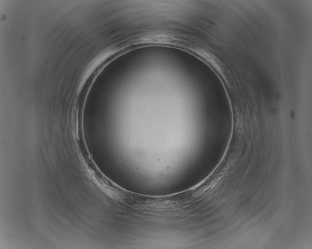 X0000068901131200605081338