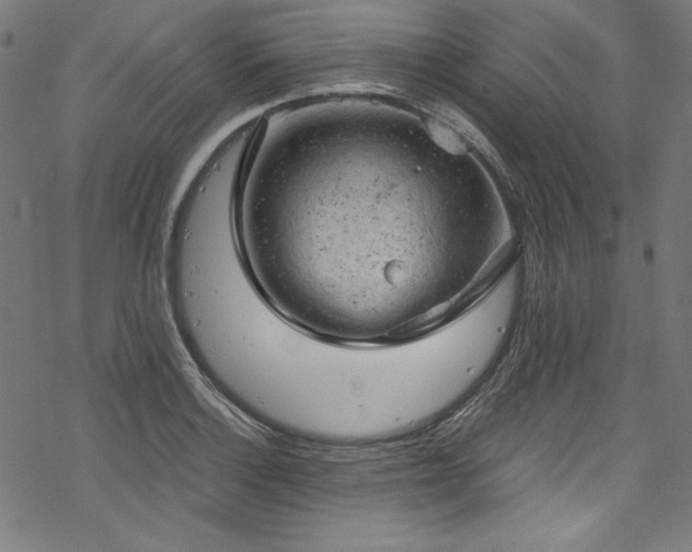 X0000068901132200605081338