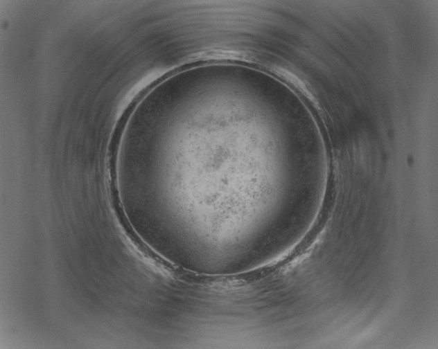 X0000068901133200605081339