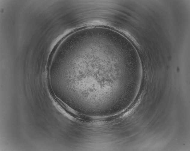 X0000068901134200605081339