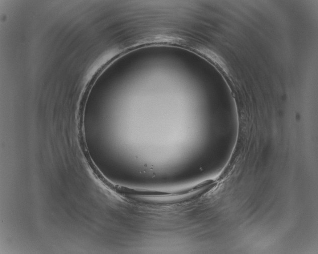 X0000068901135200605081339