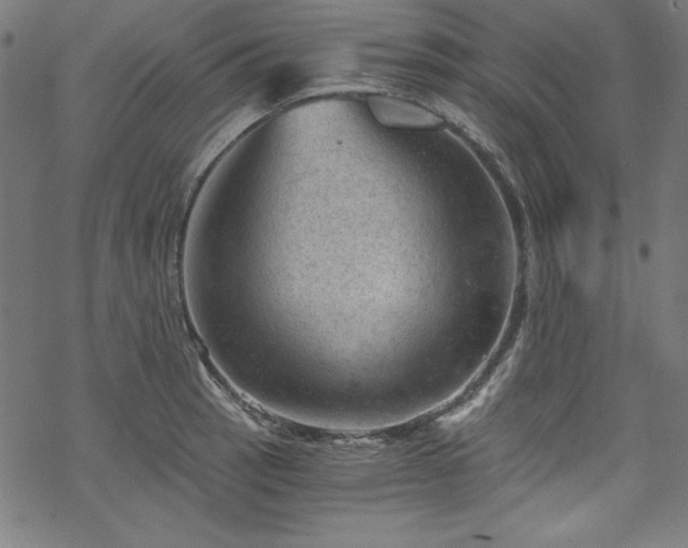 X0000068901137200605081339