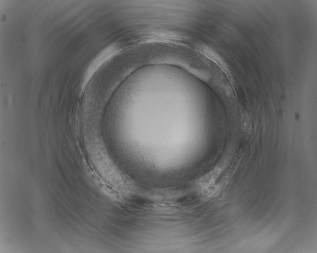 X0000068901138200605081339