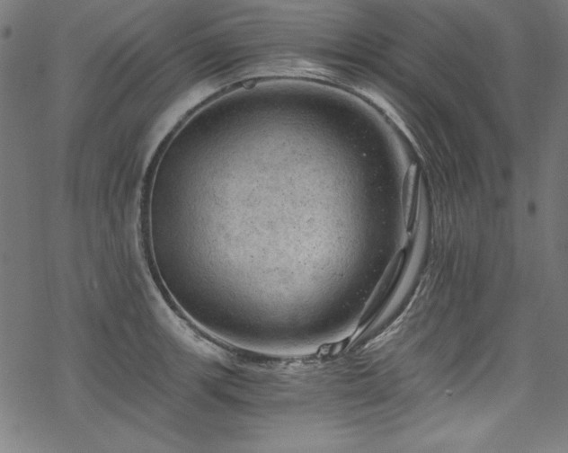 X0000068901139200605081339