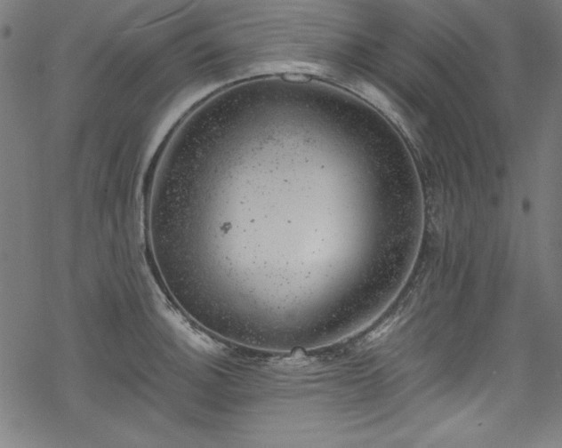 X0000068901140200605081339