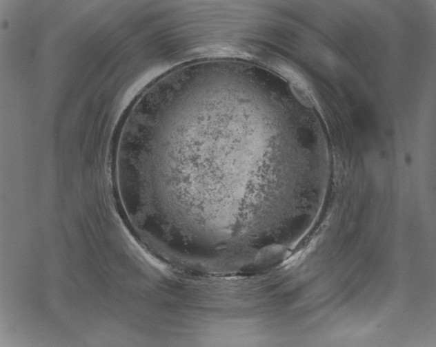 X0000068901141200605081339