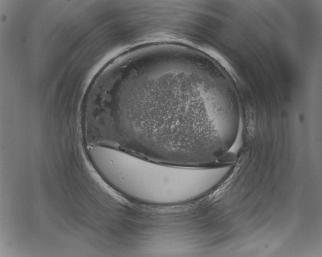 X0000068901142200605081339