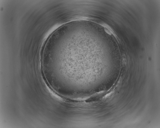 X0000068901143200605081339