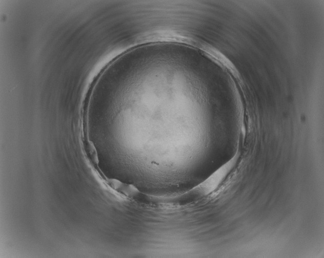 X0000068901144200605081339