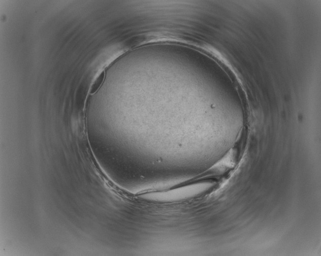 X0000068901145200605081339