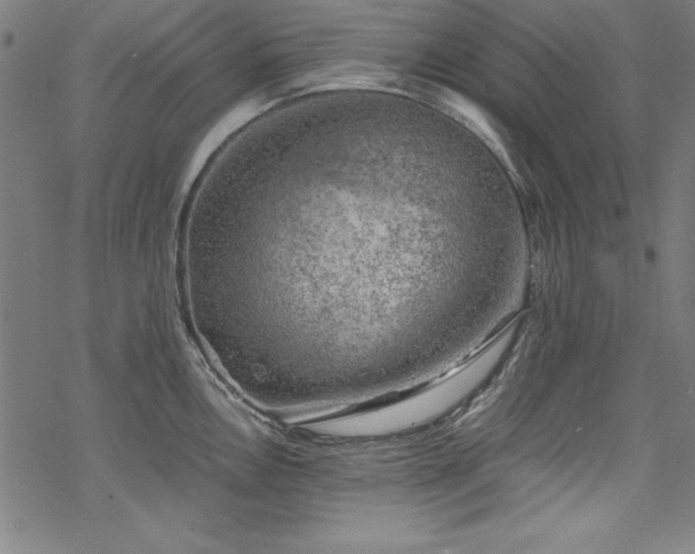 X0000068901146200605081339