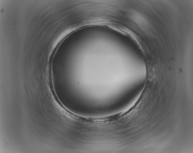 X0000068901147200605081339