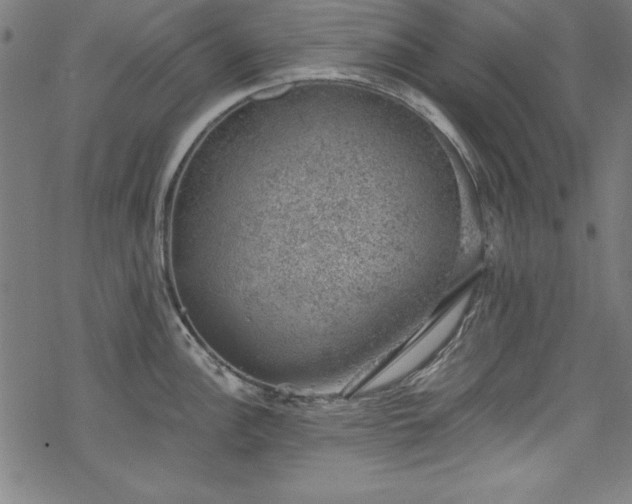 X0000068901148200605081339