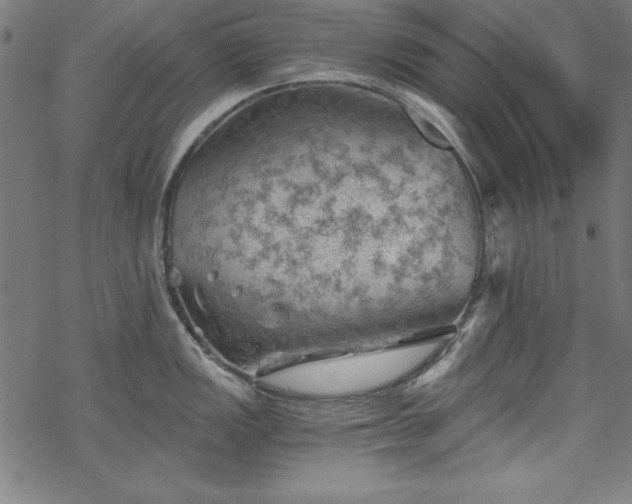 X0000068901149200605081339