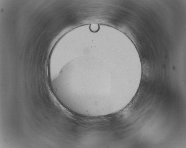 X0000068901150200605081339