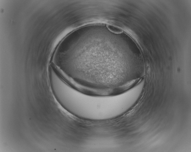 X0000068901151200605081339