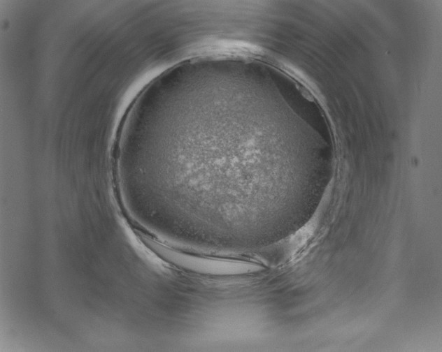 X0000068901152200605081339