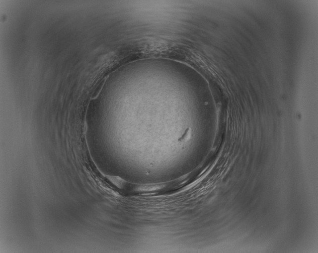 X0000068901153200605081338