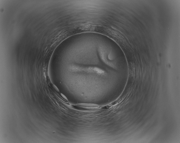 X0000068901154200605081338