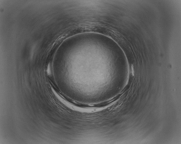 X0000068901155200605081338