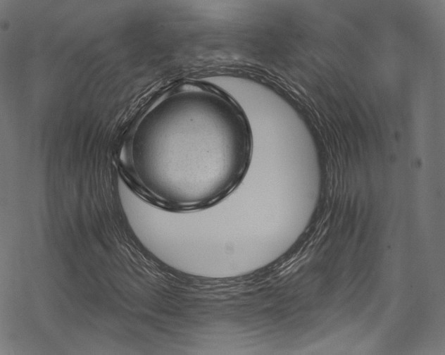 X0000068901156200605081338