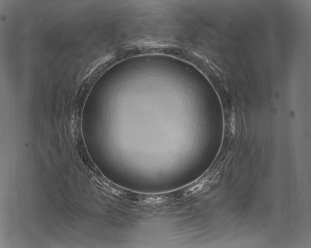 X0000068901157200605081338