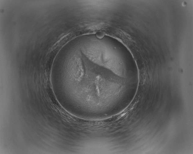 X0000068901158200605081338