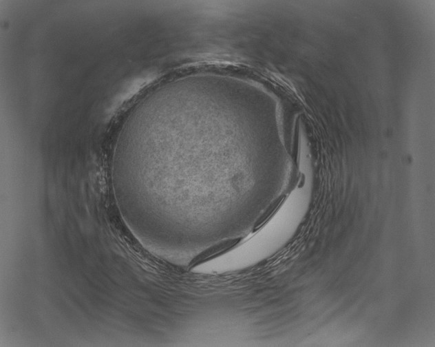 X0000068901159200605081338