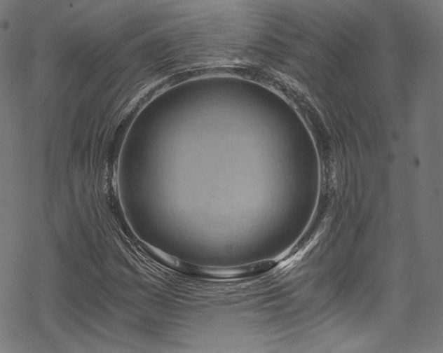 X0000068901161200605081338