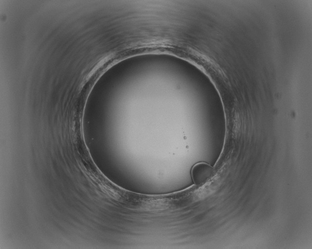 X0000068901162200605081338