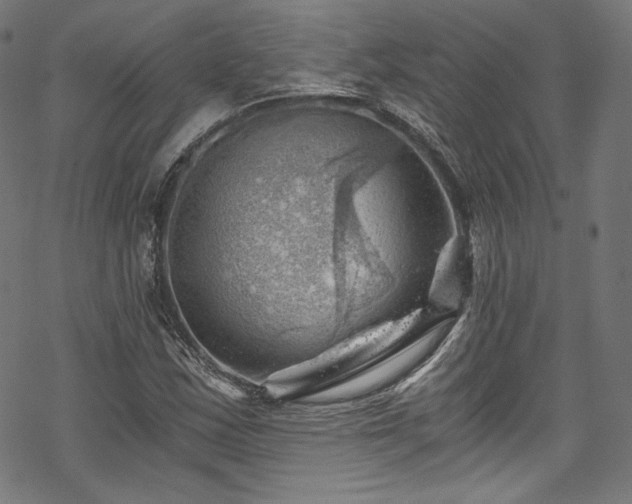 X0000068901163200605081338