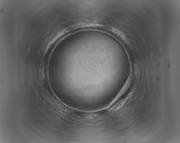 X0000068901165200605081338