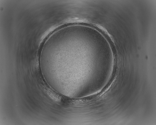 X0000068901167200605081338