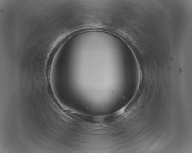 X0000068901168200605081338