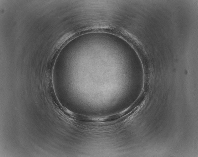 X0000068901169200605081338