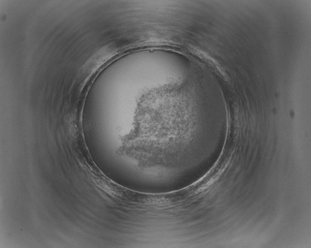 X0000068901170200605081338