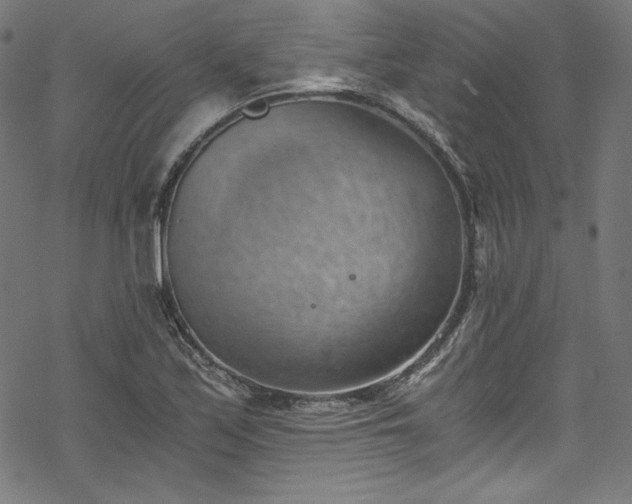 X0000068901171200605081338