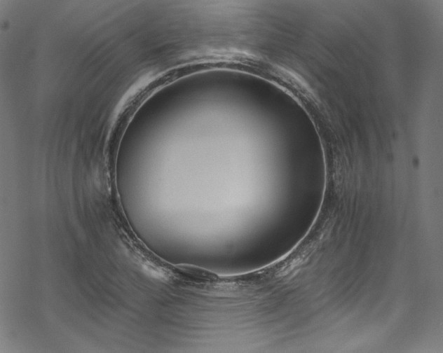 X0000068901172200605081338