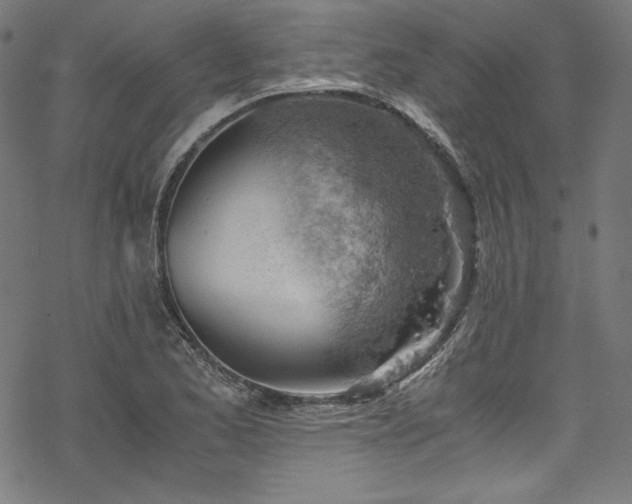 X0000068901173200605081338