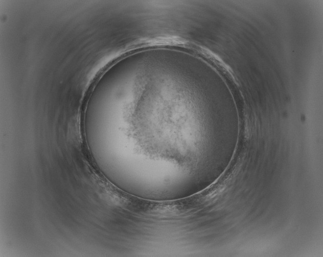 X0000068901174200605081338