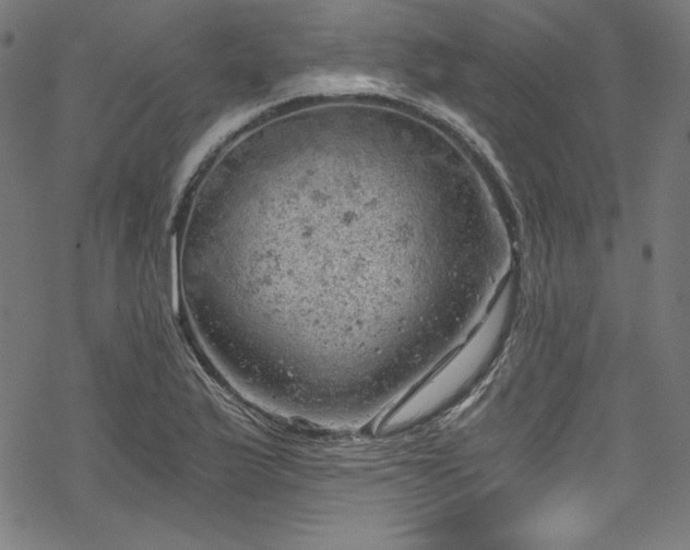 X0000068901175200605081338