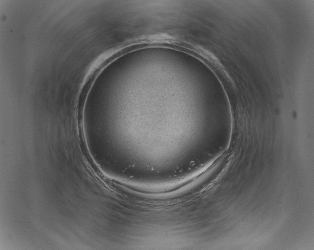 X0000068901176200605081338