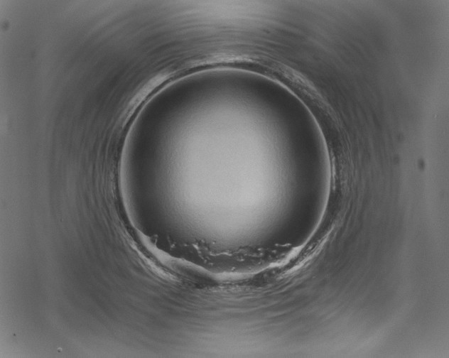 X0000068901177200605081338