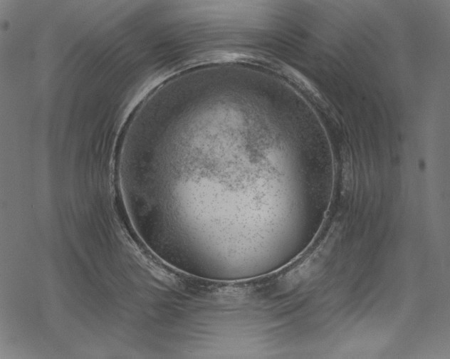 X0000068901178200605081338