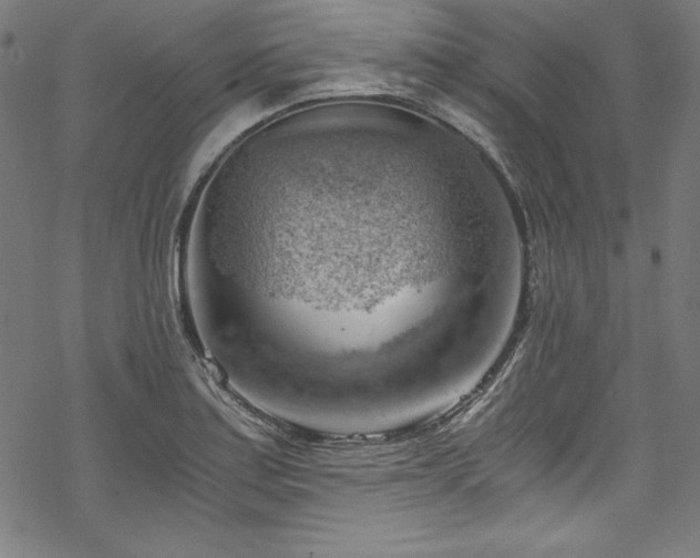 X0000068901179200605081338