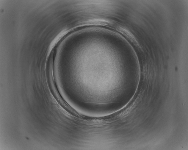 X0000068901180200605081338