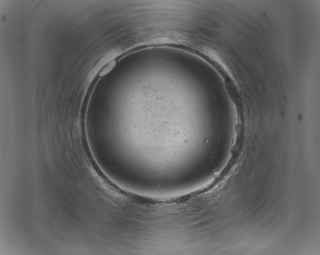 X0000068901181200605081338